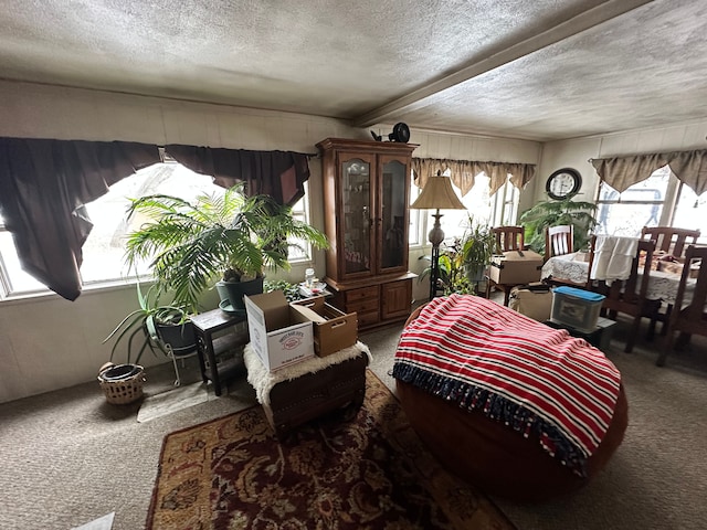 interior space featuring carpet floors and a textured ceiling