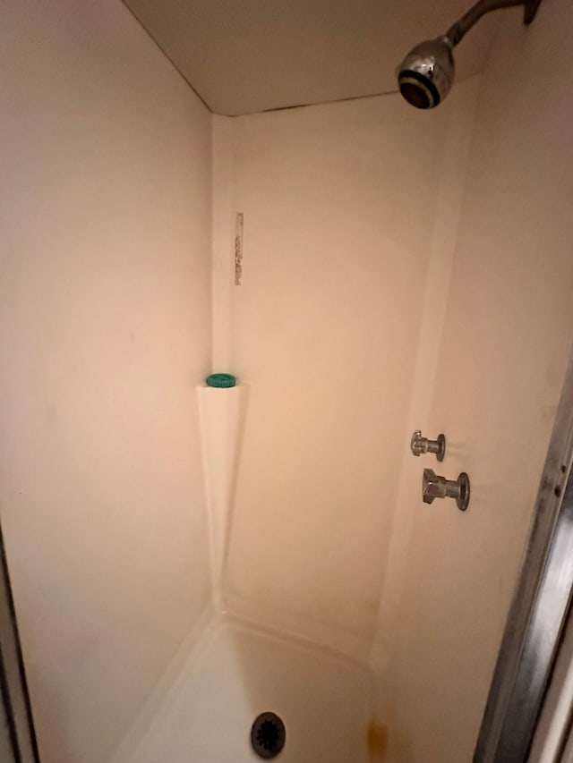 bathroom with walk in shower