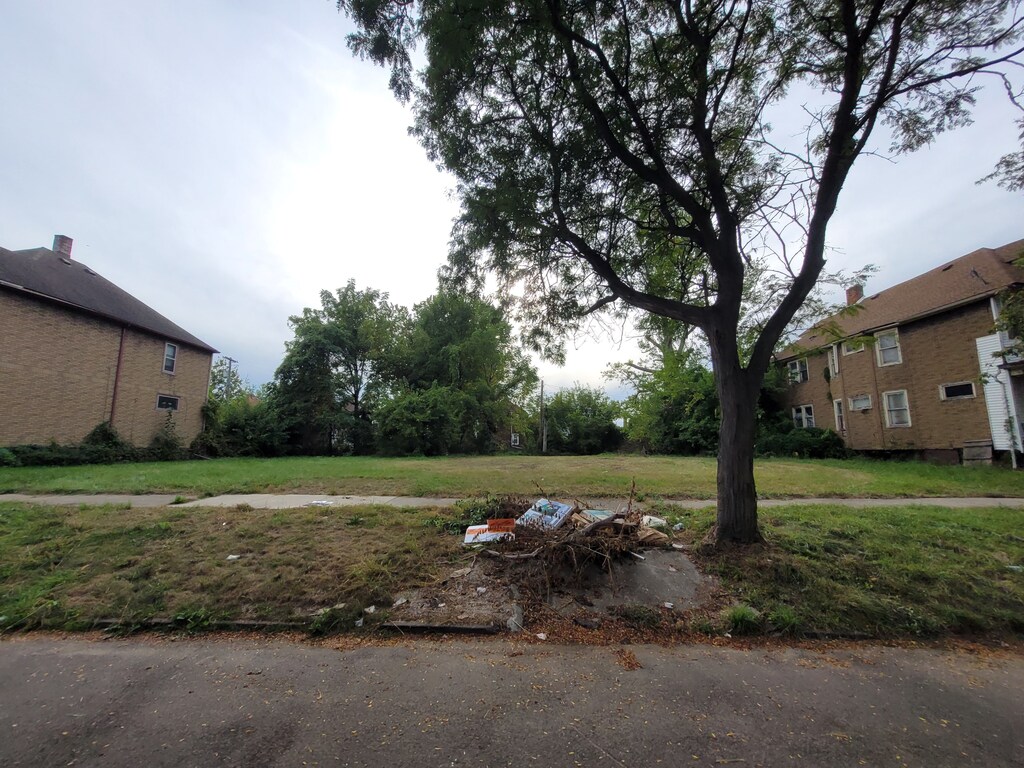 2537 Canton St, Detroit, MI 48207