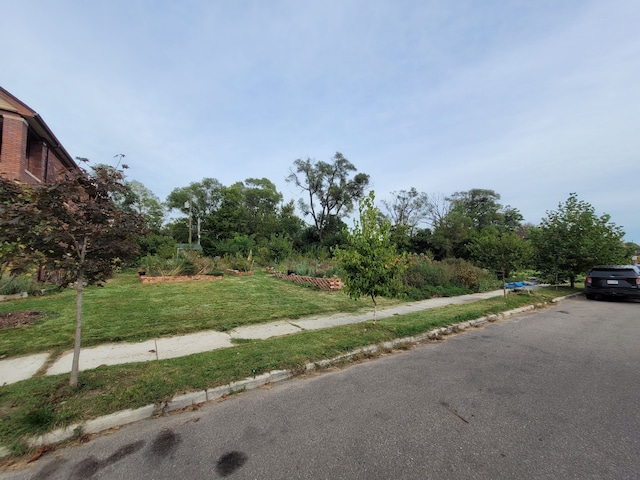 3028 Baldwin St, Detroit MI, 48214 land for sale