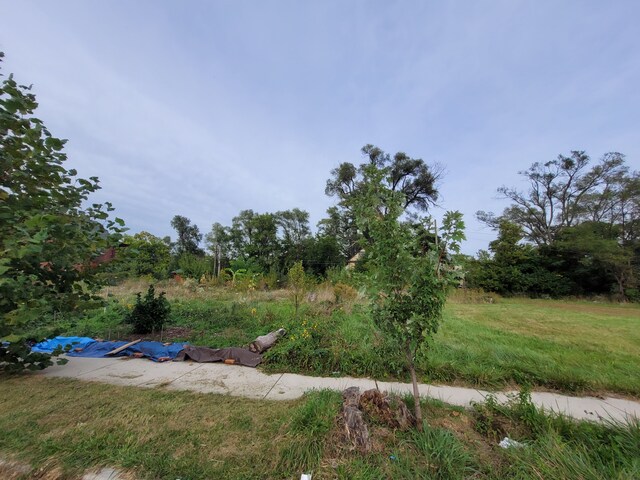 3028 Baldwin St, Detroit, MI 48214