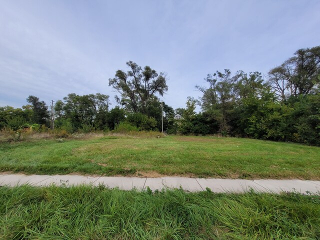 3028 Baldwin St, Detroit, MI 48214
