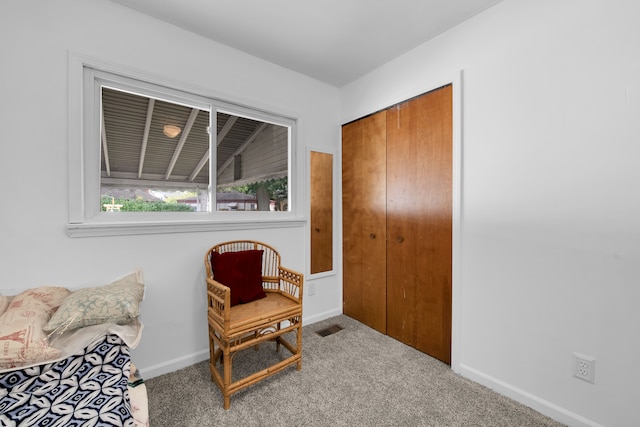 sitting room with carpet flooring