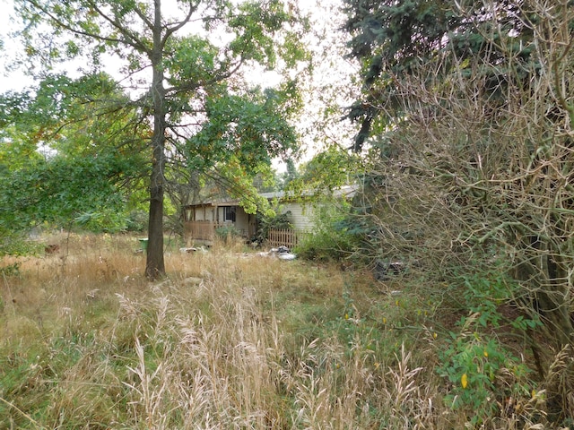 view of landscape