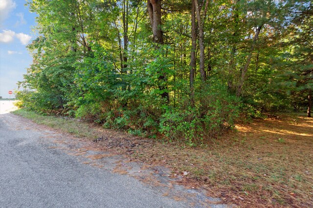 1043 Noirot St, Gaylord, MI 49735