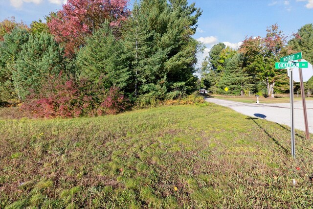 1043 Noirot St, Gaylord, MI 49735