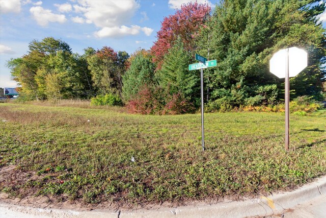 1043 Noirot St, Gaylord, MI 49735