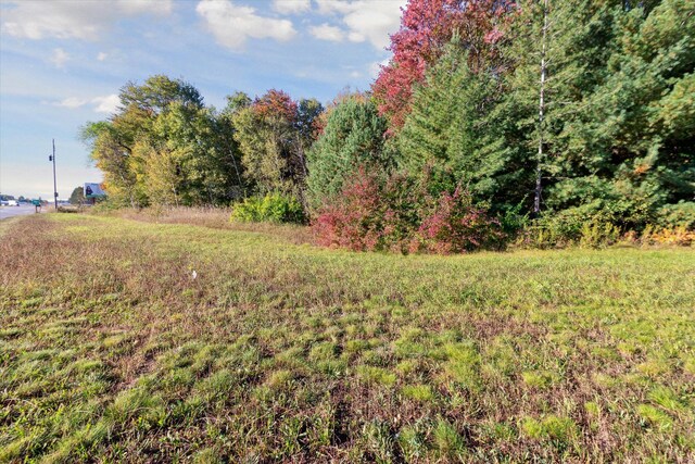 1043 Noirot St, Gaylord, MI 49735