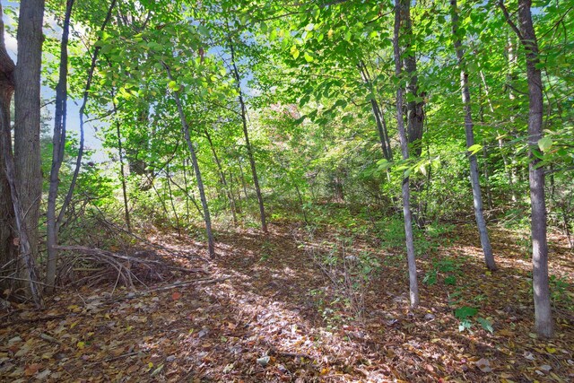 1043 Noirot St, Gaylord, MI 49735