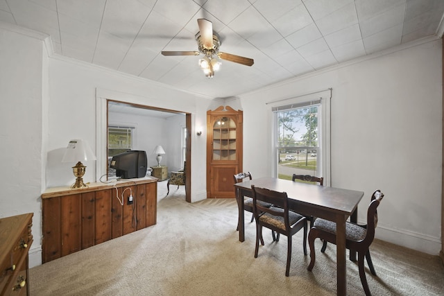 dining area with crown molding, ceiling fan, and light colored carpet