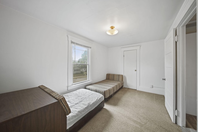 bedroom with carpet floors