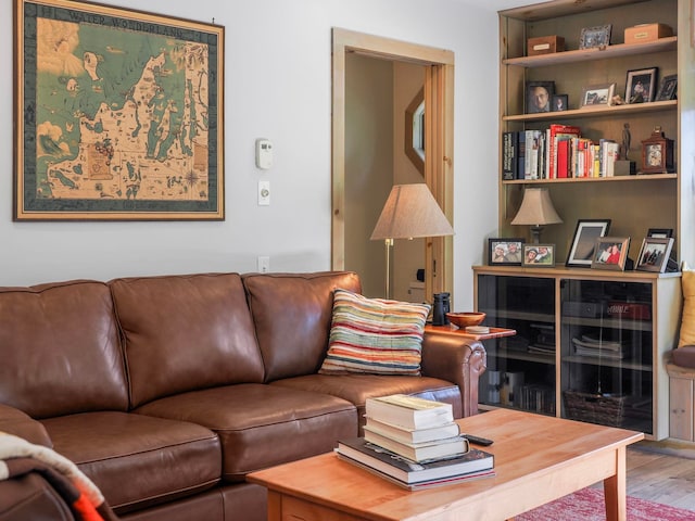 living room with wood-type flooring