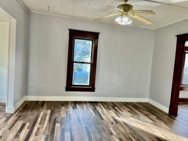 unfurnished room with ornamental molding, ceiling fan, and dark wood-type flooring