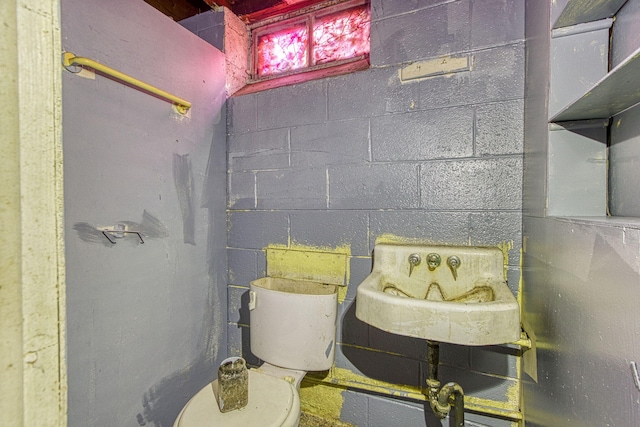 interior space with toilet