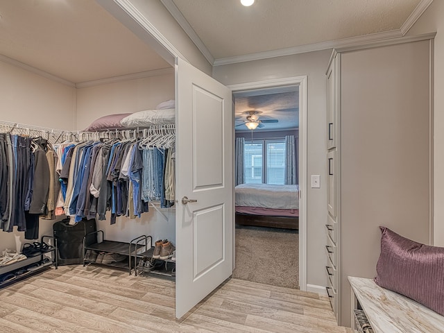 walk in closet with ceiling fan and light wood-type flooring