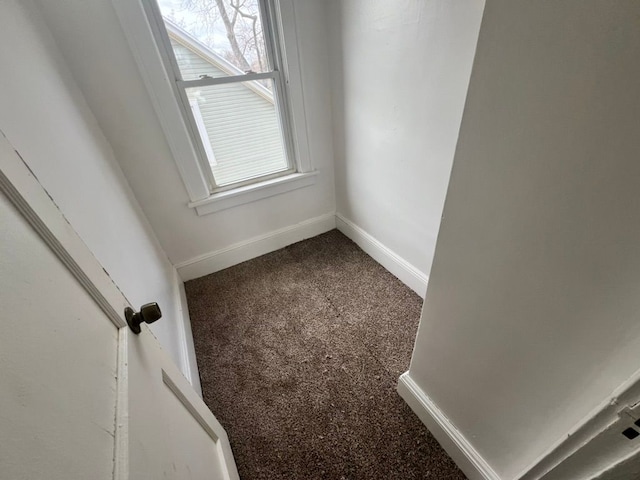 details featuring carpet flooring