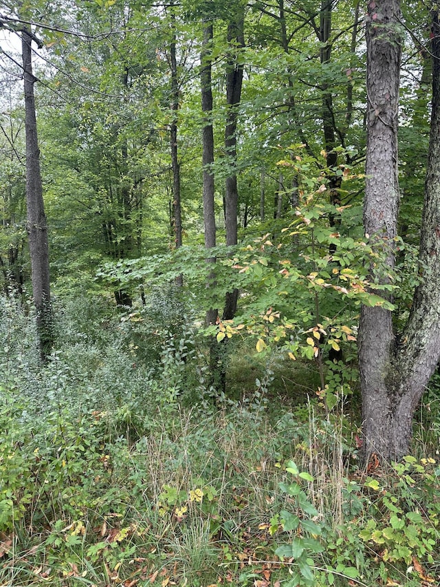 8550 Woodland Dr, Saranac, MI 48881 - photo 2