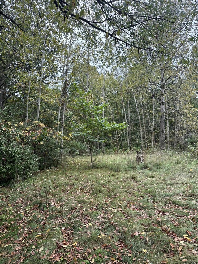8550 Woodland Dr, Saranac, MI 48881 - photo 4