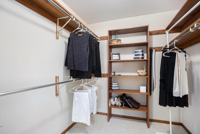 1875 Edwin Dr, Wayland, MI 49348 - view of spacious closet