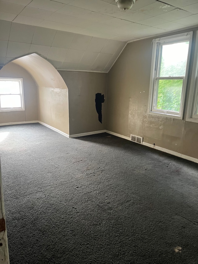 additional living space with plenty of natural light and carpet floors