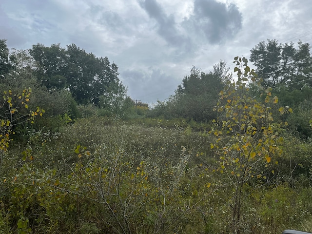 00 S Creek Ln, Dryden, MI 48428