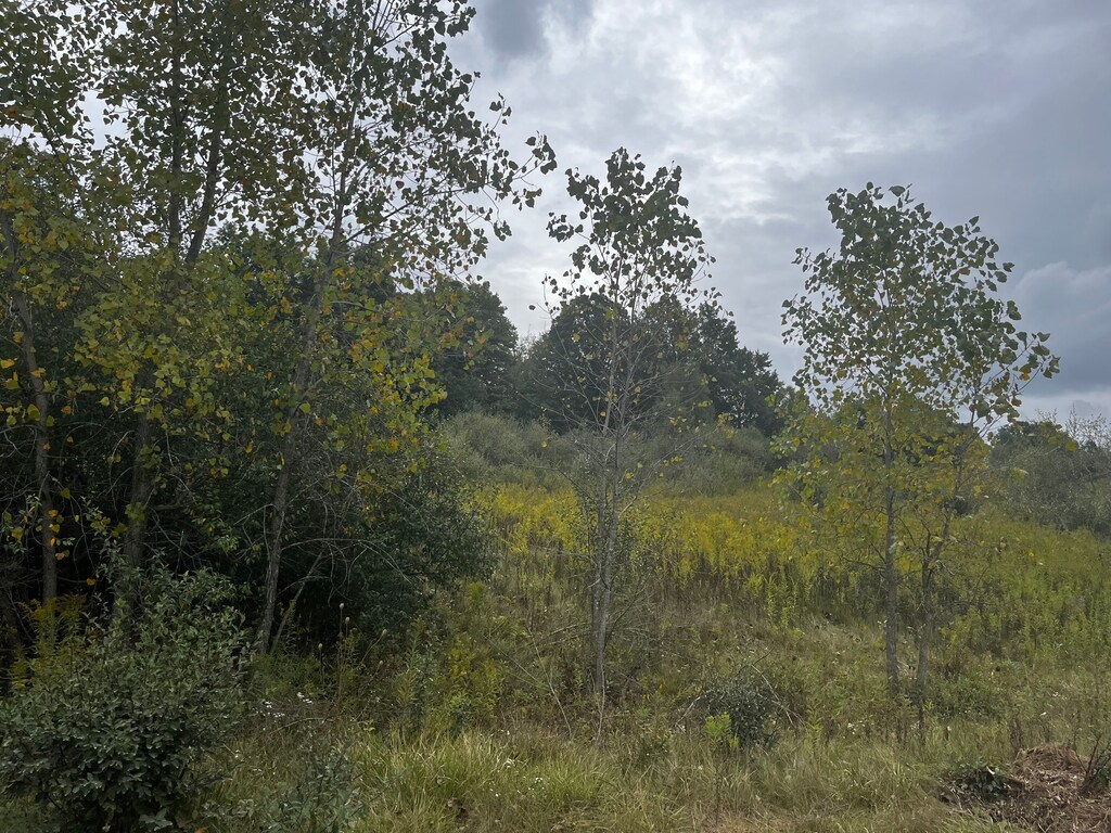 00 S Creek Ln, Dryden, MI 48428