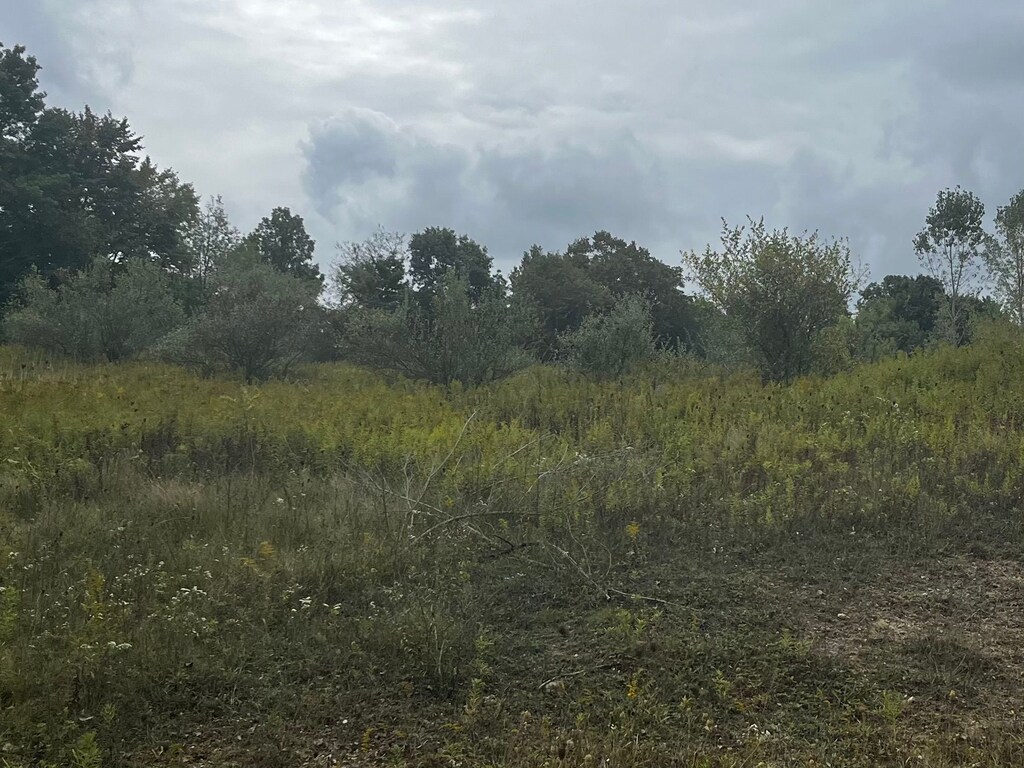 00 S Creek Ln, Dryden, MI 48428