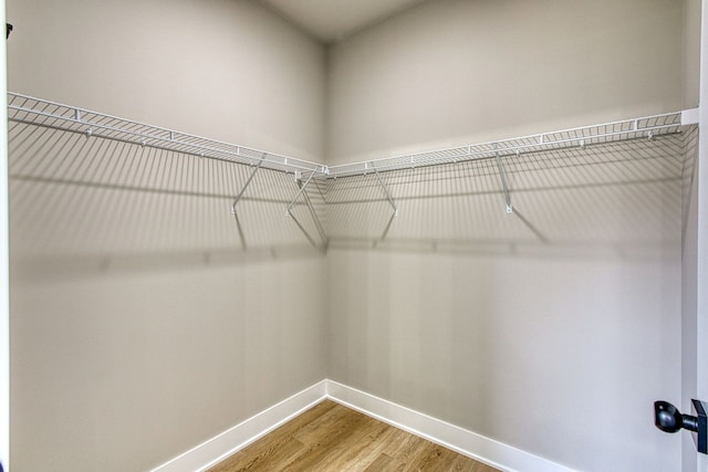 spacious closet with wood-type flooring