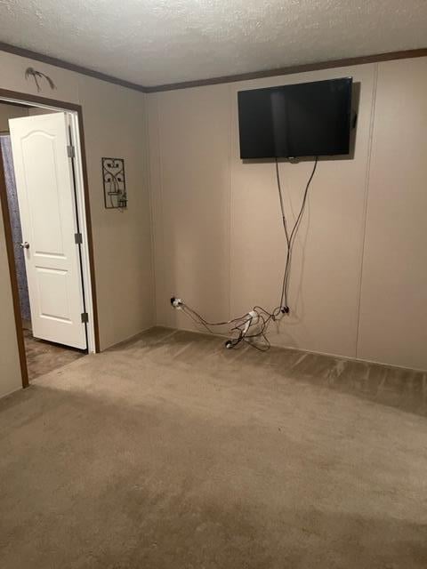 basement with light colored carpet and a textured ceiling