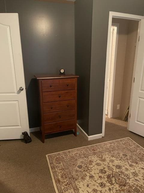 bedroom featuring carpet