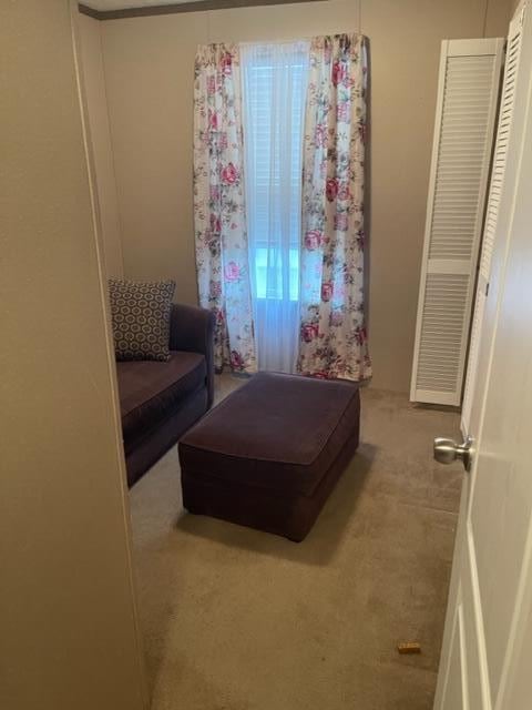 sitting room with carpet floors