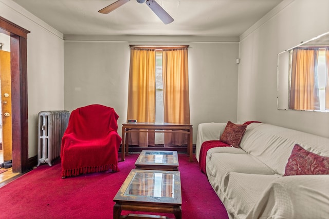 living room with carpet, radiator heating unit, ceiling fan, and a healthy amount of sunlight