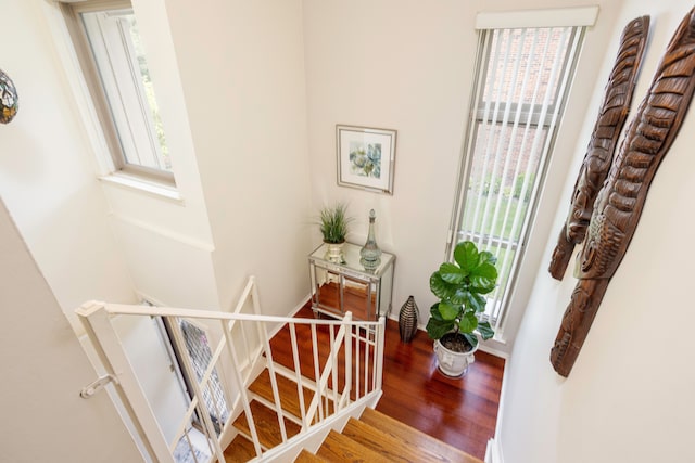 interior space with hardwood / wood-style flooring