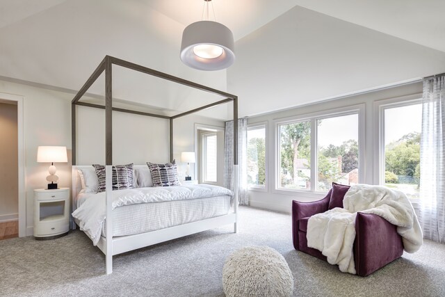 827 Larchlea Dr, Birmingham, MI 48009 - bedroom featuring carpet and high vaulted ceiling
