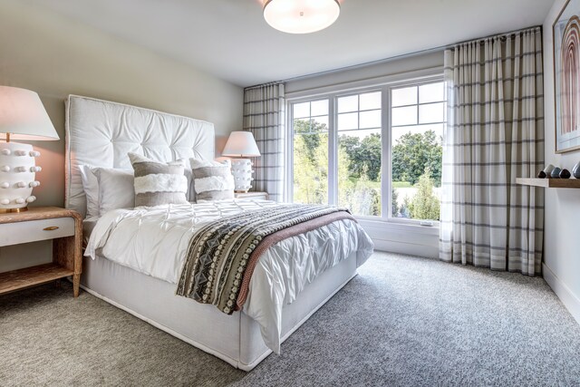 827 Larchlea Dr, Birmingham, MI 48009 - view of carpeted bedroom