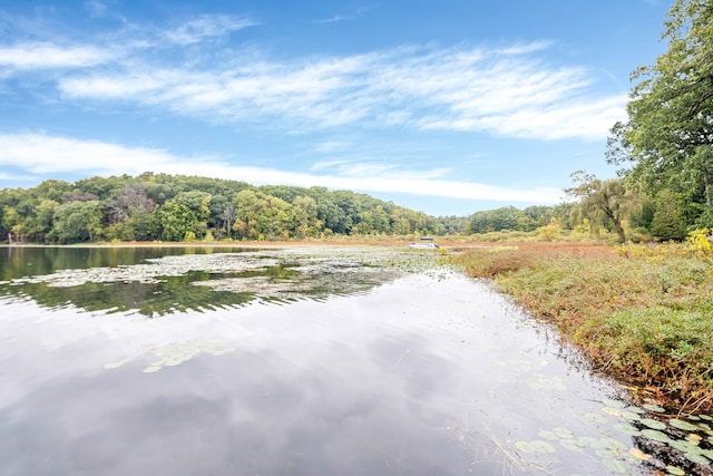 property view of water