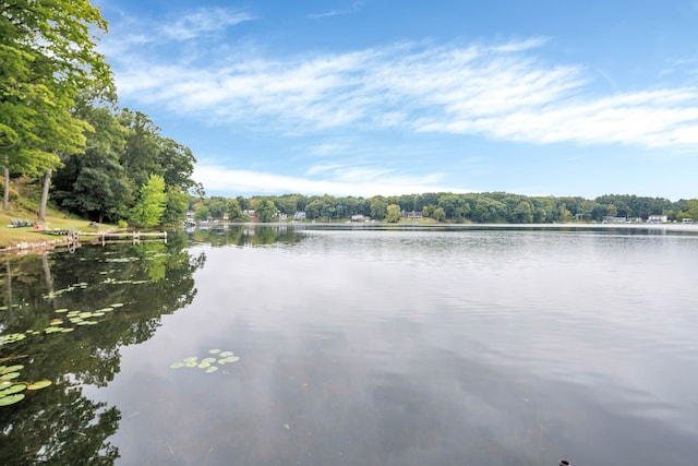 water view