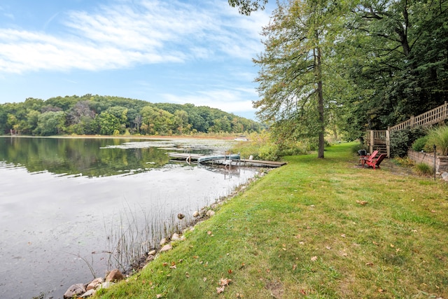 view of water feature with a dock