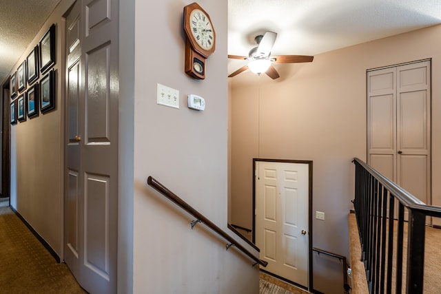 stairway featuring ceiling fan and carpet floors