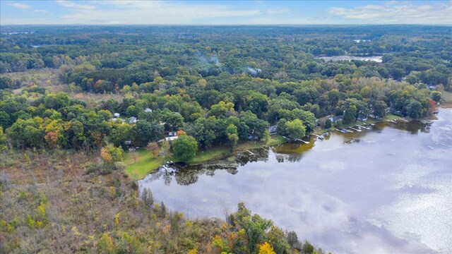 10350 Half Moon Dr, Pinckney, MI 48169