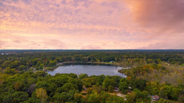 10350 Half Moon Dr, Pinckney, MI 48169