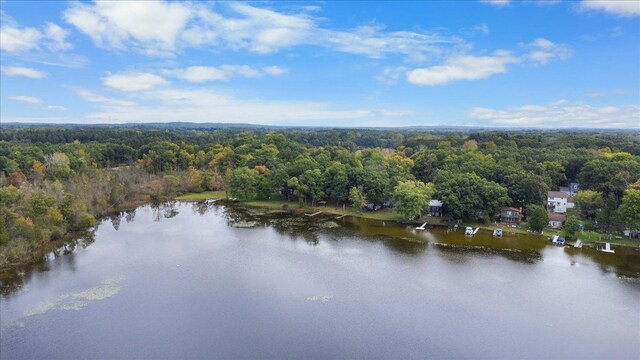 10350 Half Moon Dr, Pinckney, MI 48169