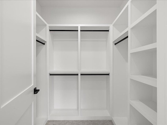 walk in closet featuring carpet