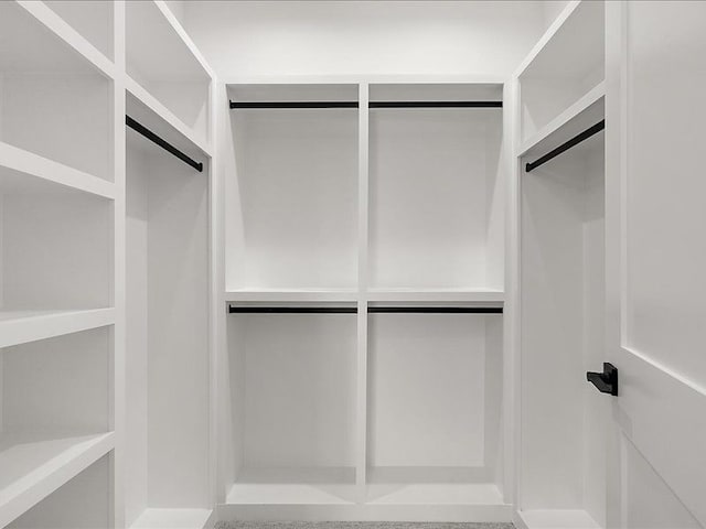 view of walk in closet