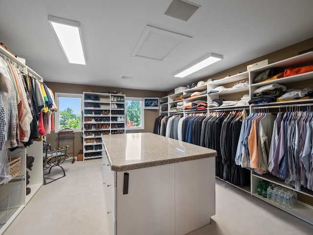 view of spacious closet