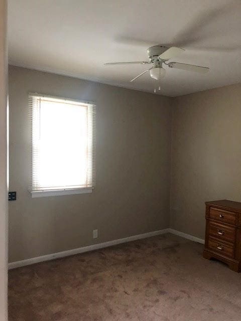 unfurnished room with ceiling fan and carpet floors