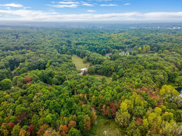 bird's eye view