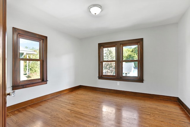 spare room with light wood-type flooring and a wealth of natural light