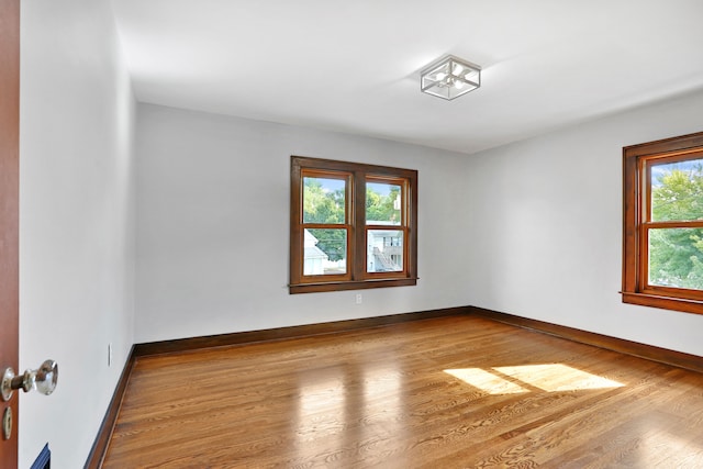 empty room featuring hardwood / wood-style floors and plenty of natural light