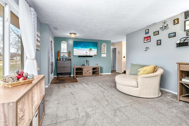 living room with carpet floors and a textured ceiling